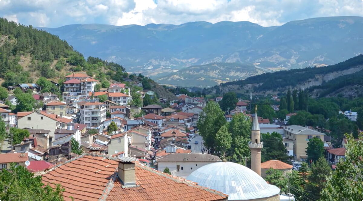 Nuestros servicios de alquiler de coches ofrecen una diversa selección de vehículos en Bolu.